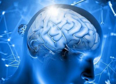 ارتباط تصمیمات اخلاقی با فعالیت مغز