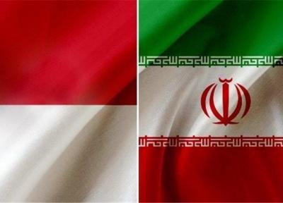افزایش فرصت های صادراتی ایران در اندونزی