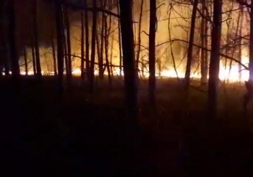 آتش، گریبانگیر بخش زیادی از جنگل های گیلان