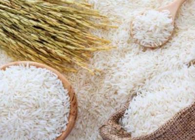قیمت برنج در ماه رمضان تغییر نمی کند