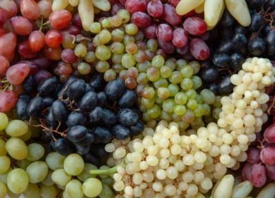 خواص باورنکردنی انگور از پاکسازی بدن تا کاهش چربی خون